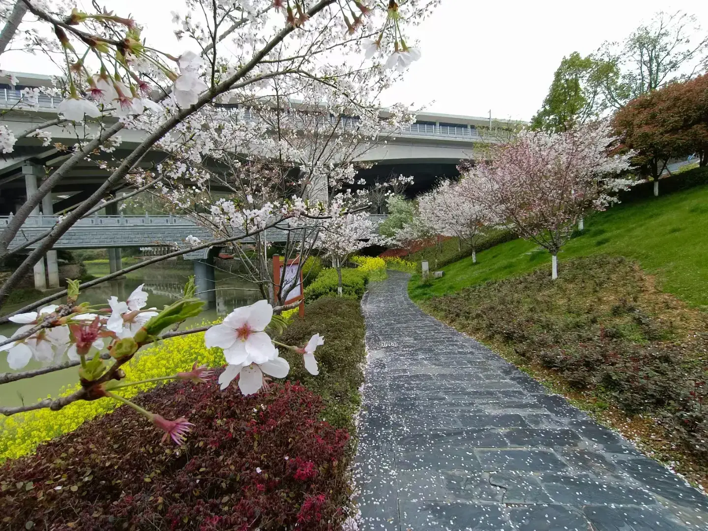 千岛湖旅游攻略（一)——千岛湖游轮一日游  -图3