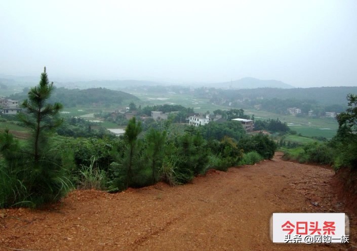 记录大连钓鱼人勇闯江南原始森林，找卫星地图上的山中水库  -图3