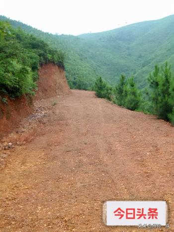 记录大连钓鱼人勇闯江南原始森林，找卫星地图上的山中水库  -图5