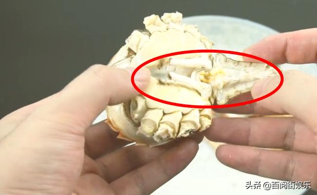 螃蟹蒸好了，很多人竟然吃错了，手把手教你正确吃螃蟹  -图3