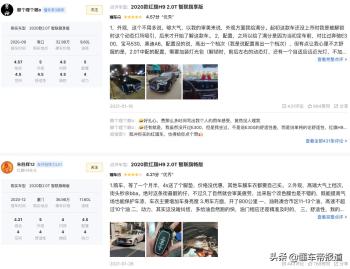 懂车π | 86%是私家车、南方人更爱买，数据解读红旗的“冷知识”  -图7