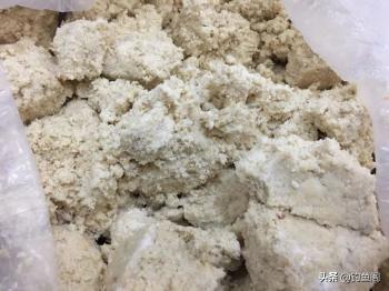 老钓友都在用的鲢鳙饵料，原来做法那么简单  -图1