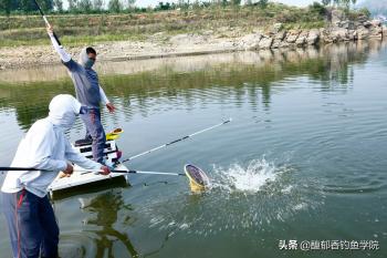 钓鱼新手应该怎样学习钓鱼？钓鱼新手的入门方法  -图3