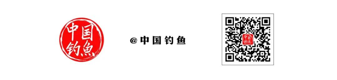 浙江省钓鱼协会换届，聚焦打造特色海钓赛事  -图10