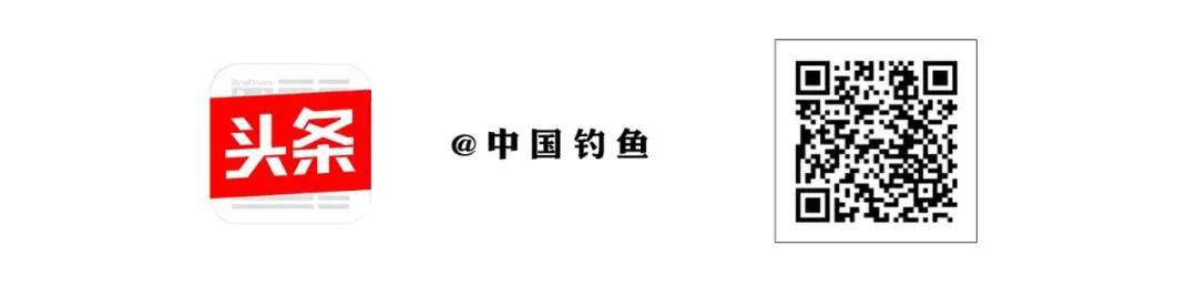 浙江省钓鱼协会换届，聚焦打造特色海钓赛事  -图12