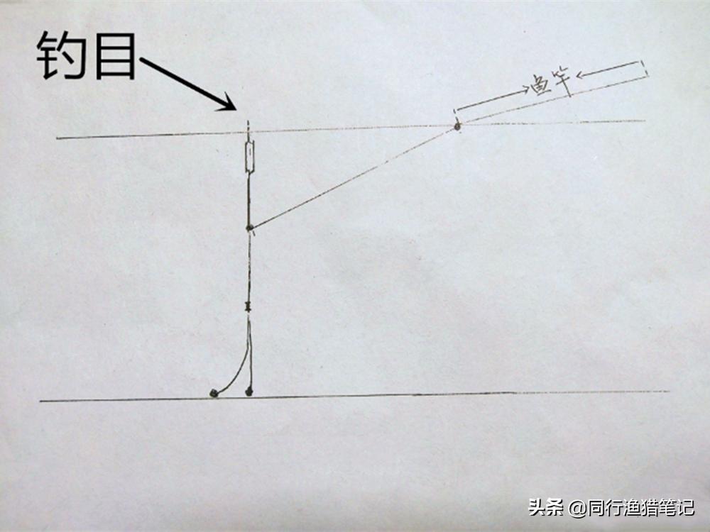 传统钓比台钓还灵？可能没掌握调四钓二的正确方法  -图5