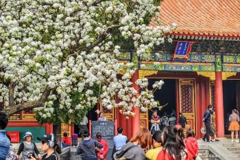 3月中下旬适合去哪旅游  -图4