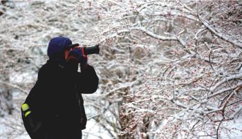 今冬沈阳初雪 北陵公园美如画  -图4